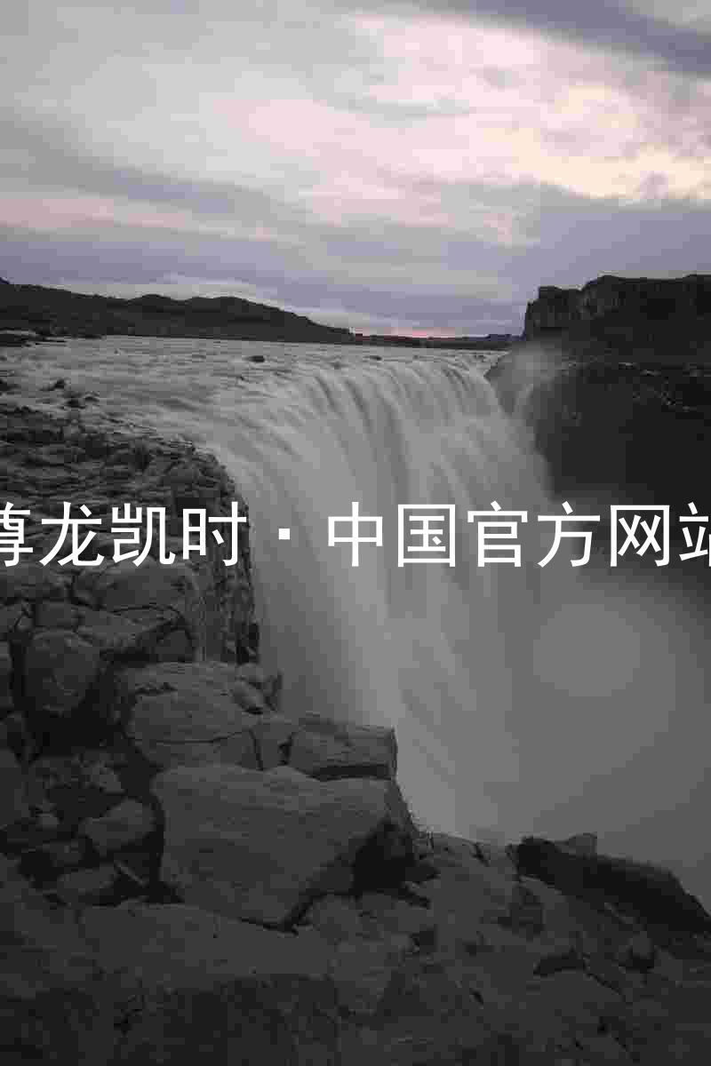 尊龙凯时·中国官方网站