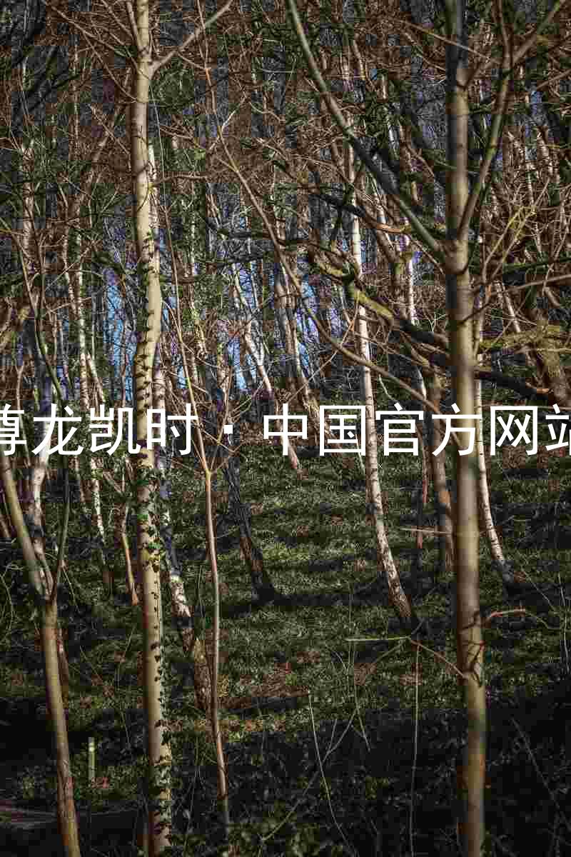 尊龙凯时·中国官方网站