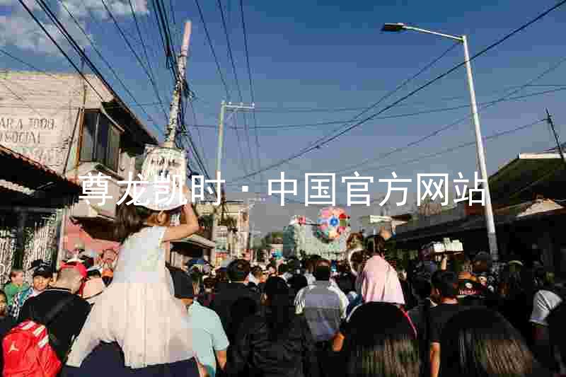 尊龙凯时·中国官方网站