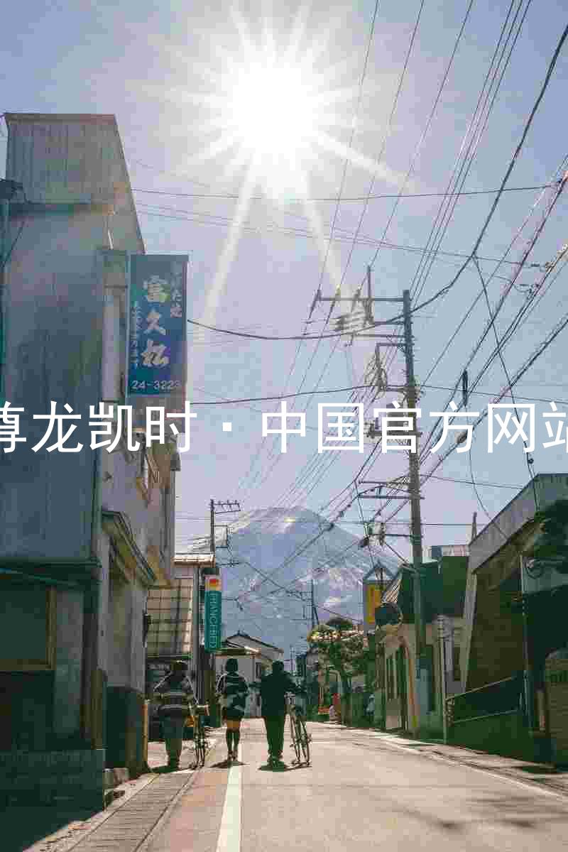 尊龙凯时·中国官方网站