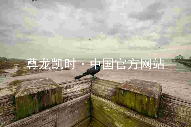 尊龙凯时·中国官方网站