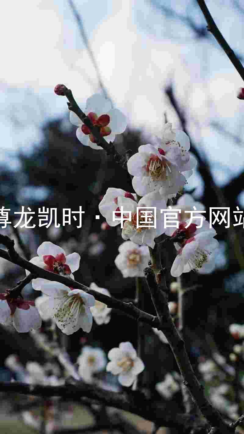 尊龙凯时·中国官方网站